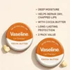 Vaseline Lip Balm Therapy Cocoa Butter Petroleum Jelly Tin Pot 20g Dry Lips-3 Vaseline Lip Balm Therapy Cocoa Butter Petroleum Jelly Tin Pot 20g Dry Lips