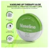 Vaseline Lip Therapy Petroleum Jelly Aloe Vera Lip Balm 20g-2 Vaseline Lip Therapy Petroleum Jelly Aloe Vera Lip Balm 20g