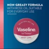 Vaseline Petroleum Jelly Lip Balm Rosy Lips 20g